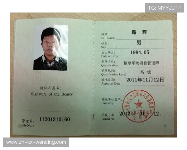 法甲技术支持团队及运作流程揭秘